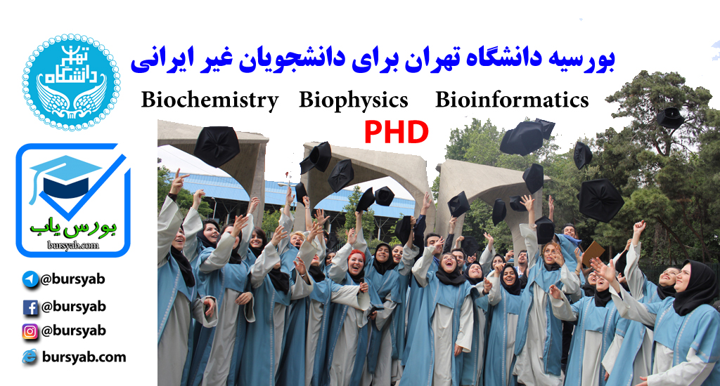 بورسیه دانشگاه تهران برای دانشجویان خارجی در مقطع phd